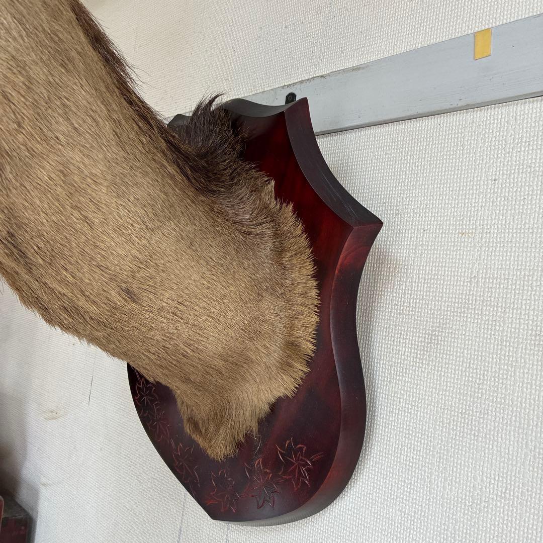 具志堅さま　専用