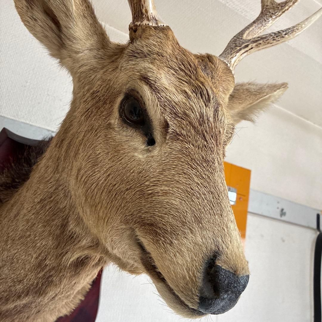 具志堅さま　専用