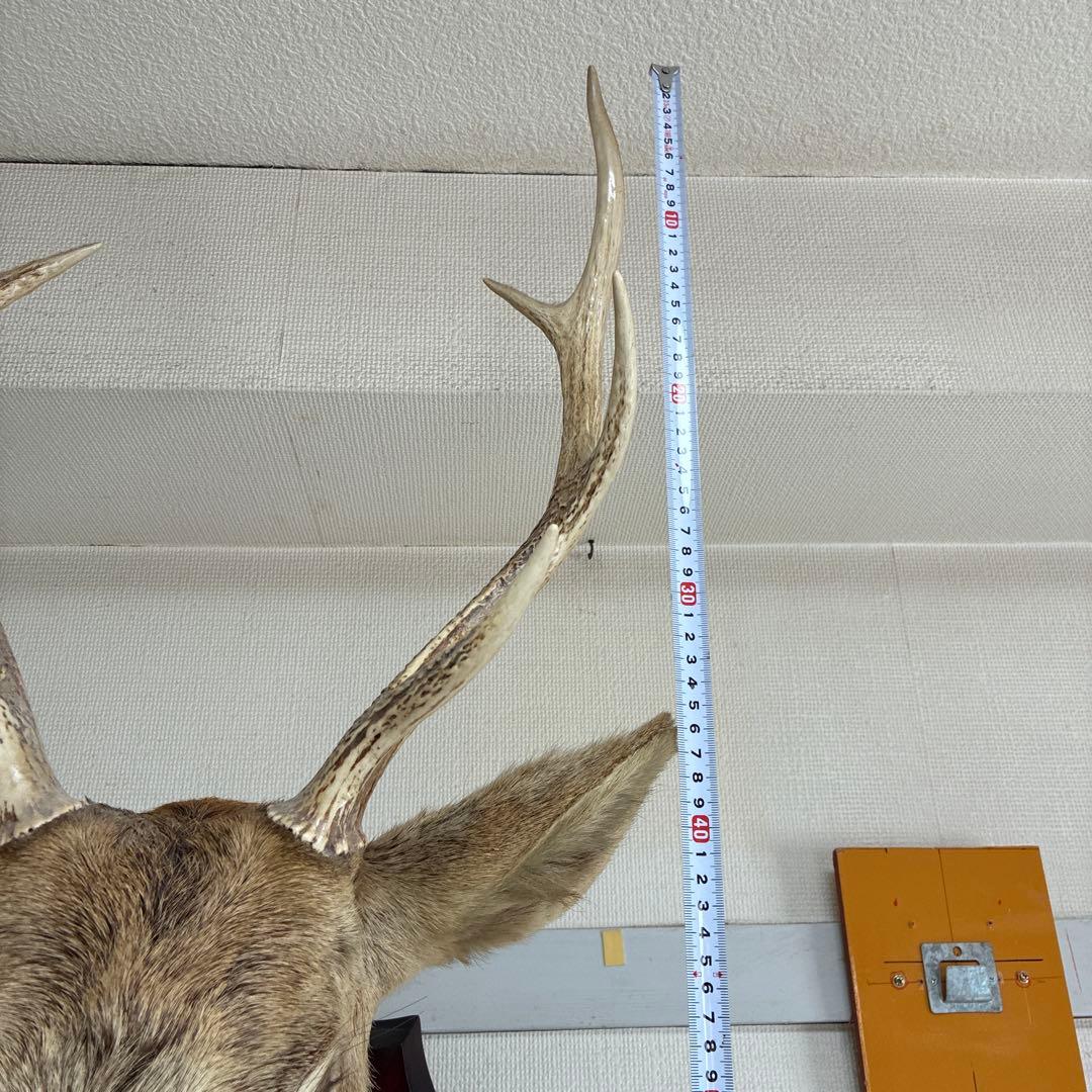 具志堅さま　専用