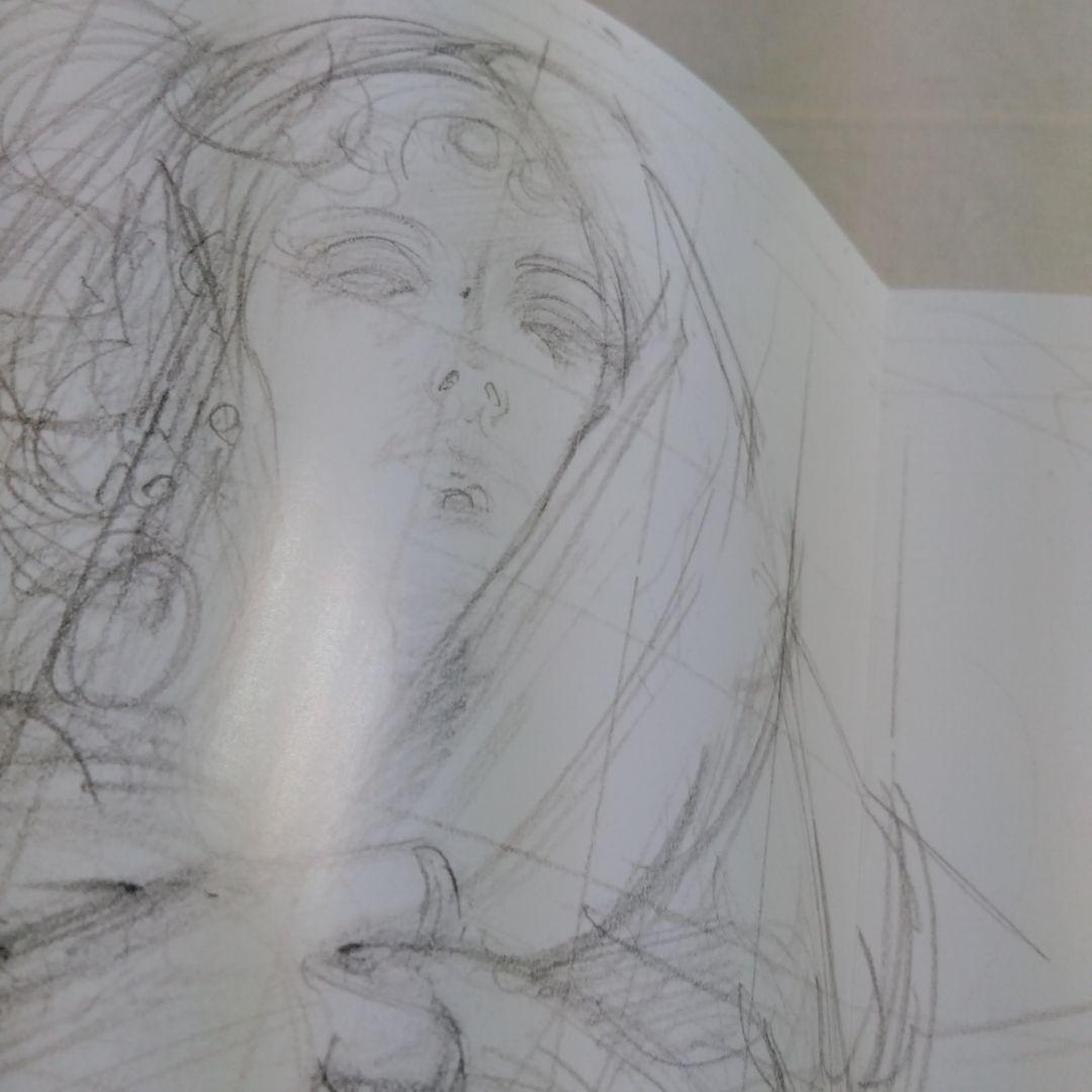 生頼範義　図録　美術品　画集　優れた画家　アーティスト（クリアファイル付き）