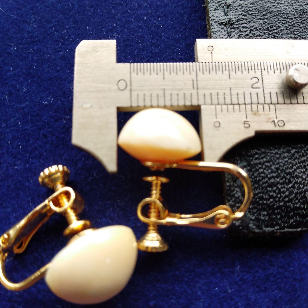 鯨歯　マッコウクジラ　イヤリング＆ピアス