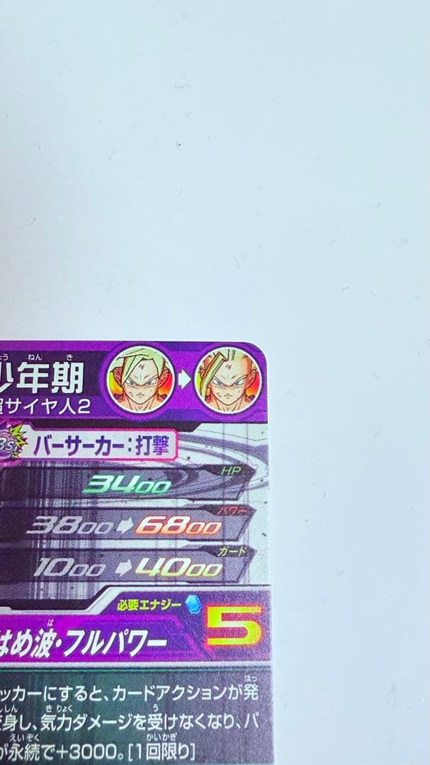 ドラゴンボールヒーローズ孫悟飯:少年期　UM12-SEC3