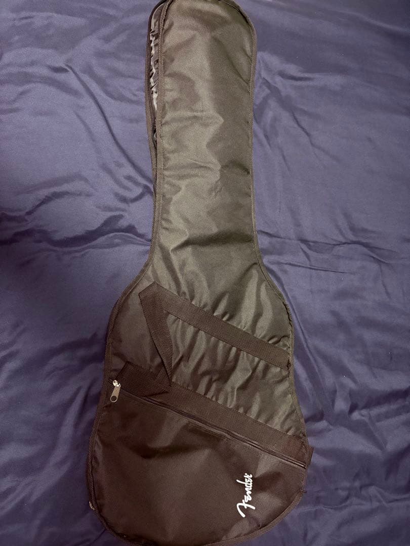 ギター Fender Player Strat FR HSS MN PWT