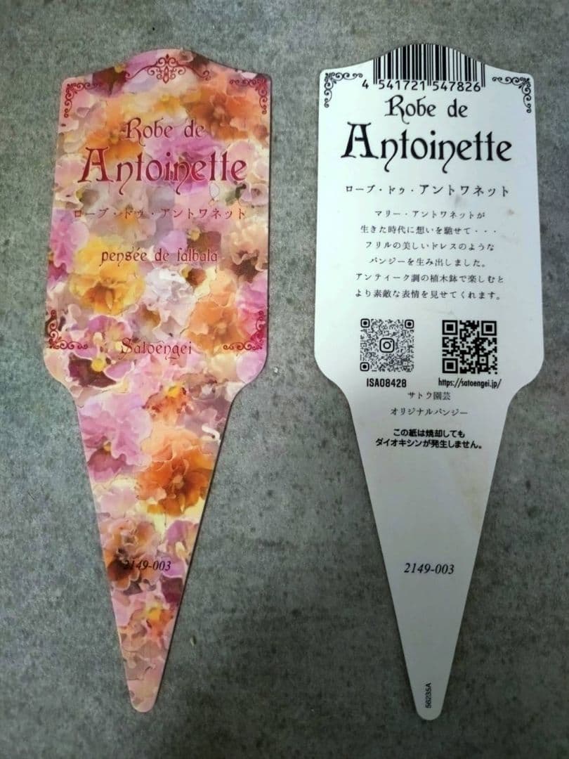 寄植え*ローブドゥアントワネット*ローラアシュレイ丸鉢ss*うえたビオラ*