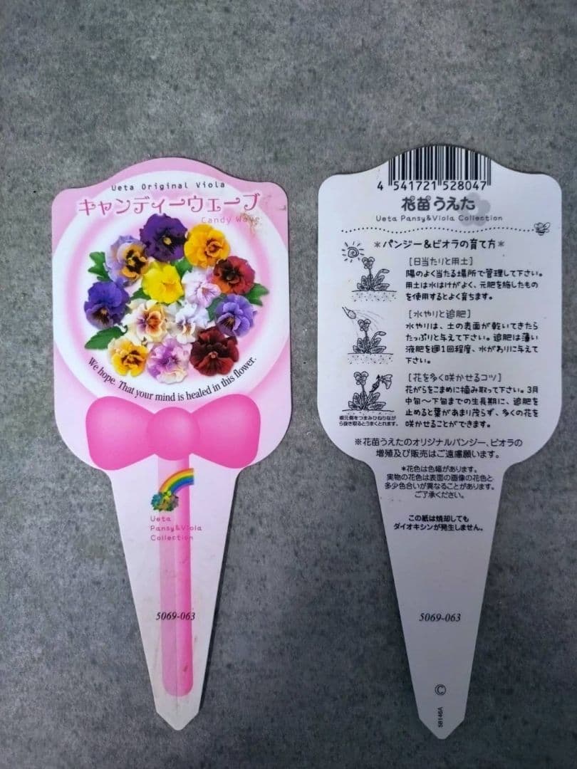 寄植え*ローブドゥアントワネット*ローラアシュレイ丸鉢ss*うえたビオラ*