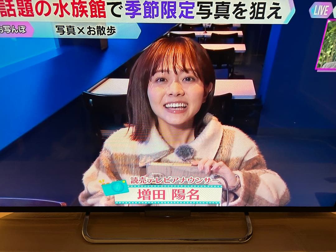 大幅値下げ SONY BRAVIA 42型 液晶テレビ KDL-42W650A