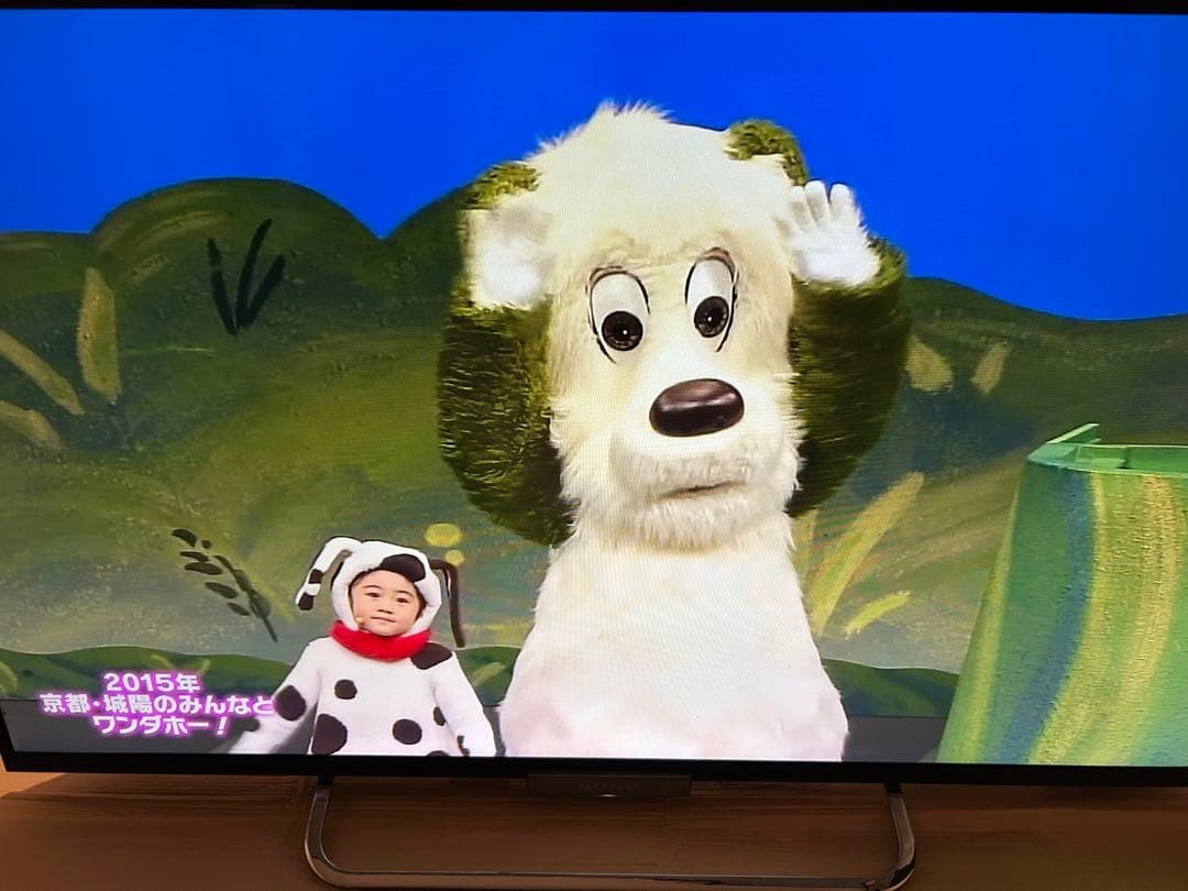 大幅値下げ SONY BRAVIA 42型 液晶テレビ KDL-42W650A