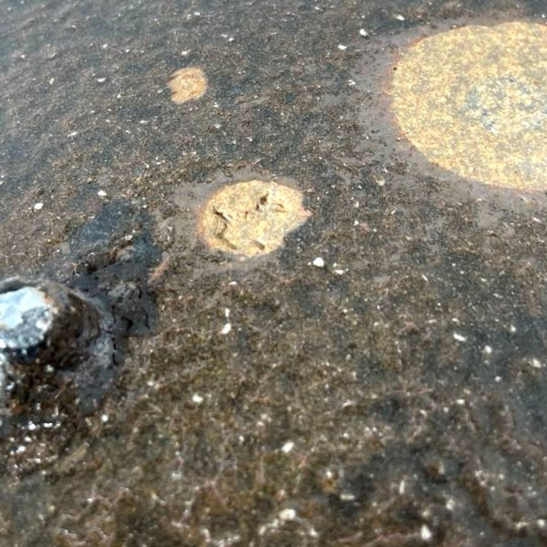 #XG513 陶芸家・波多野善蔵・萩焼四方皿・萩焼・共箱・共布栞・刷毛目・茶道具