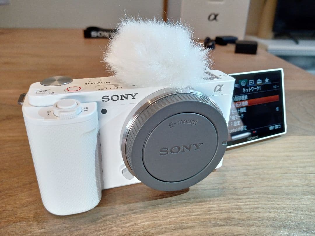 【センサー清掃+電池計2個付】SONY ZV-E10 ボディ 取説+元箱+保証付