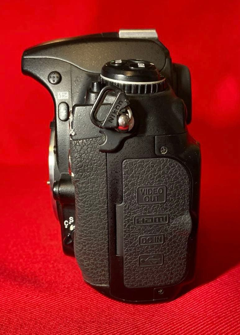 ジャンクNikon D300