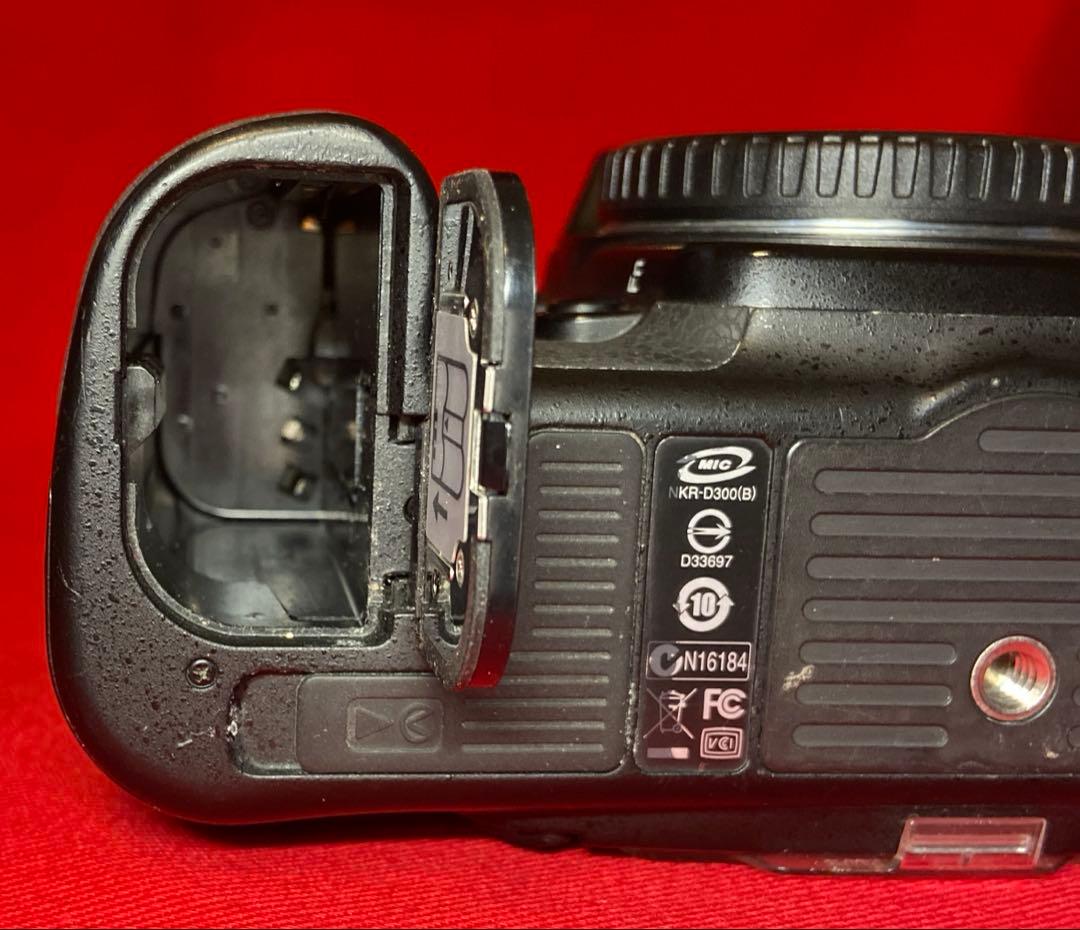 ジャンクNikon D300