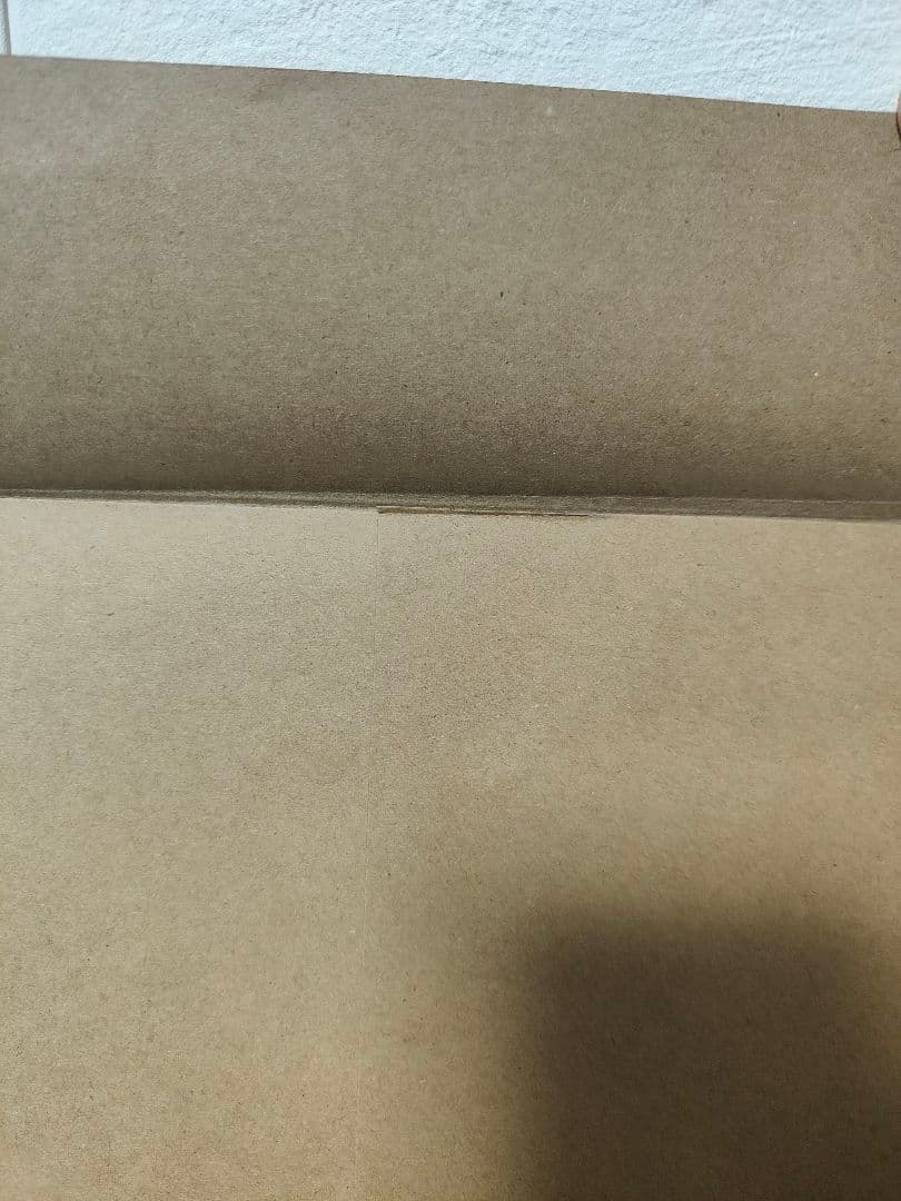 かめしまのめぐみ　伊勢人魚物語　パラノマサイト