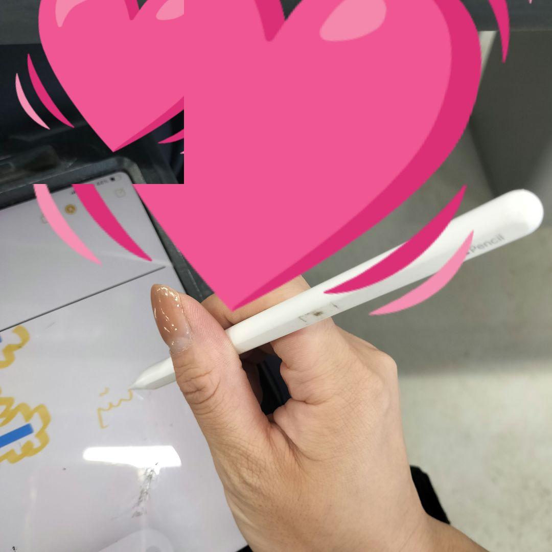 Apple Pencil第2世代 & UGREEN 　セット