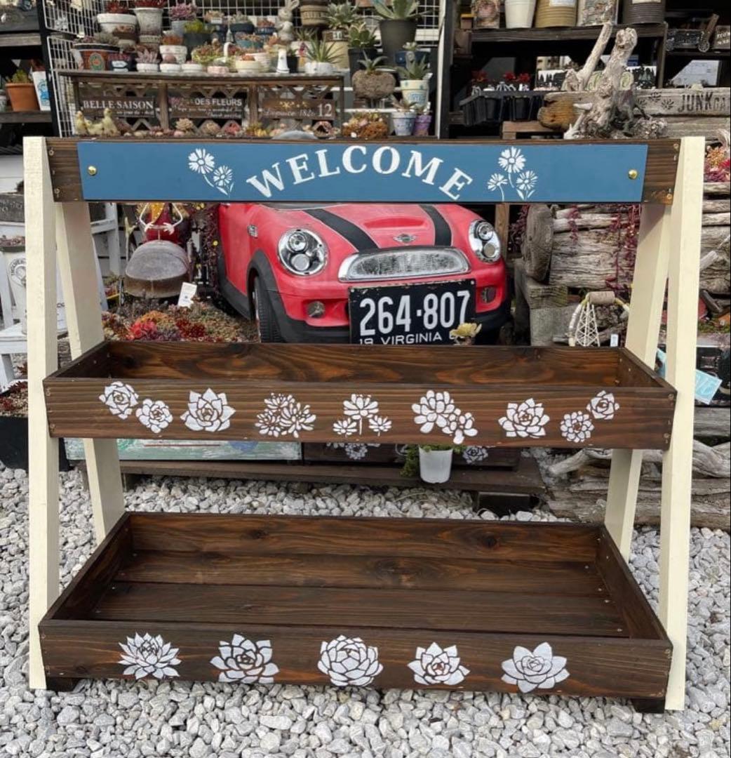 メルモ様　多肉植物棚　GSP-WB1