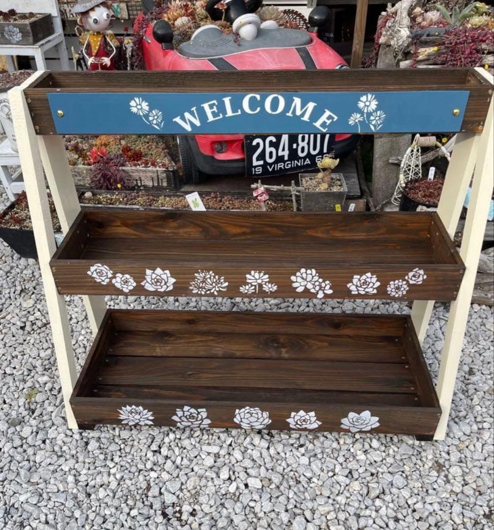 メルモ様　多肉植物棚　GSP-WB1