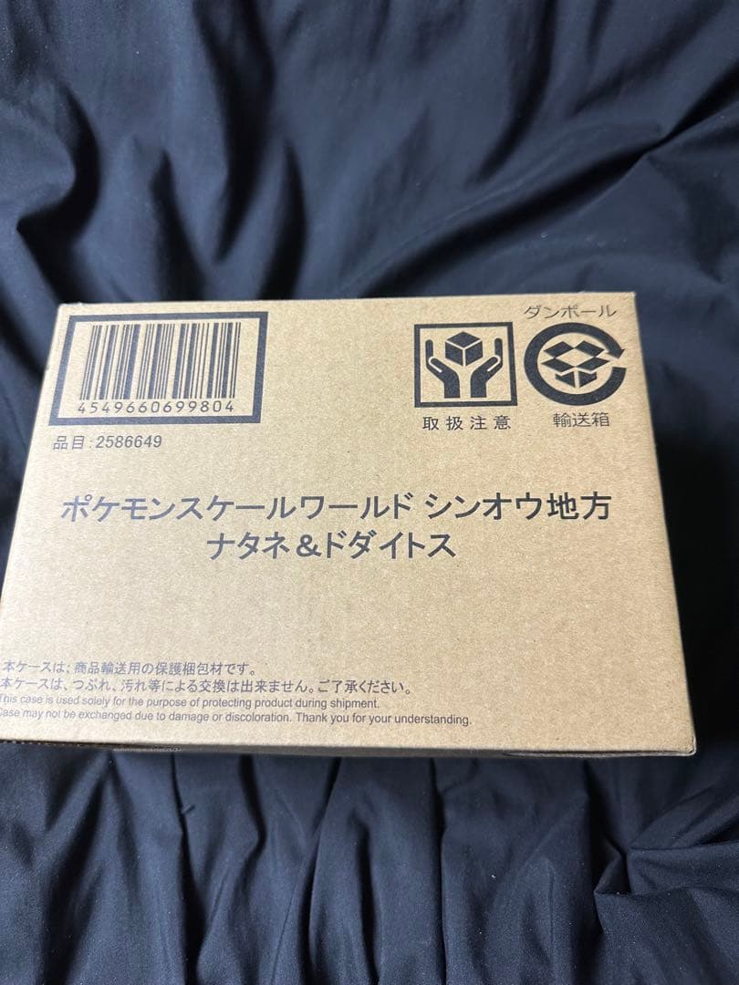 ポケモンスケールワールド ガラル地方 ホップ&バイウールー