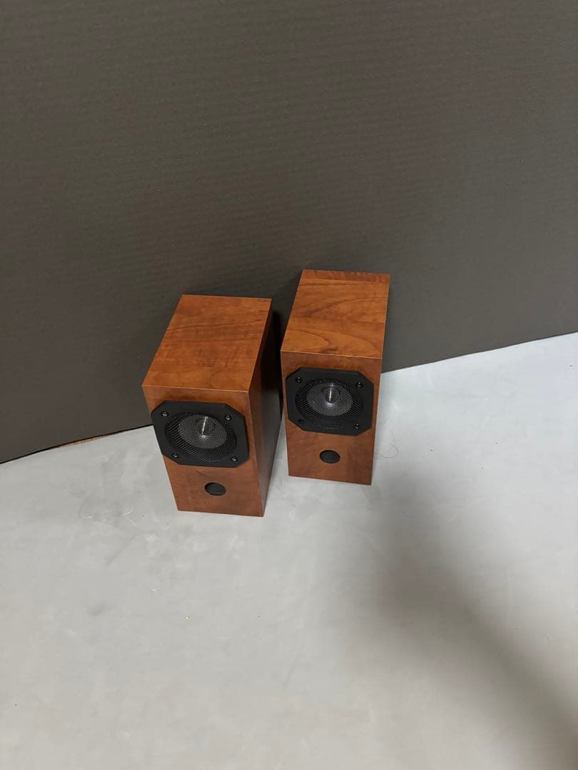 FOSTEX：P800-E フルレンジスピーカー