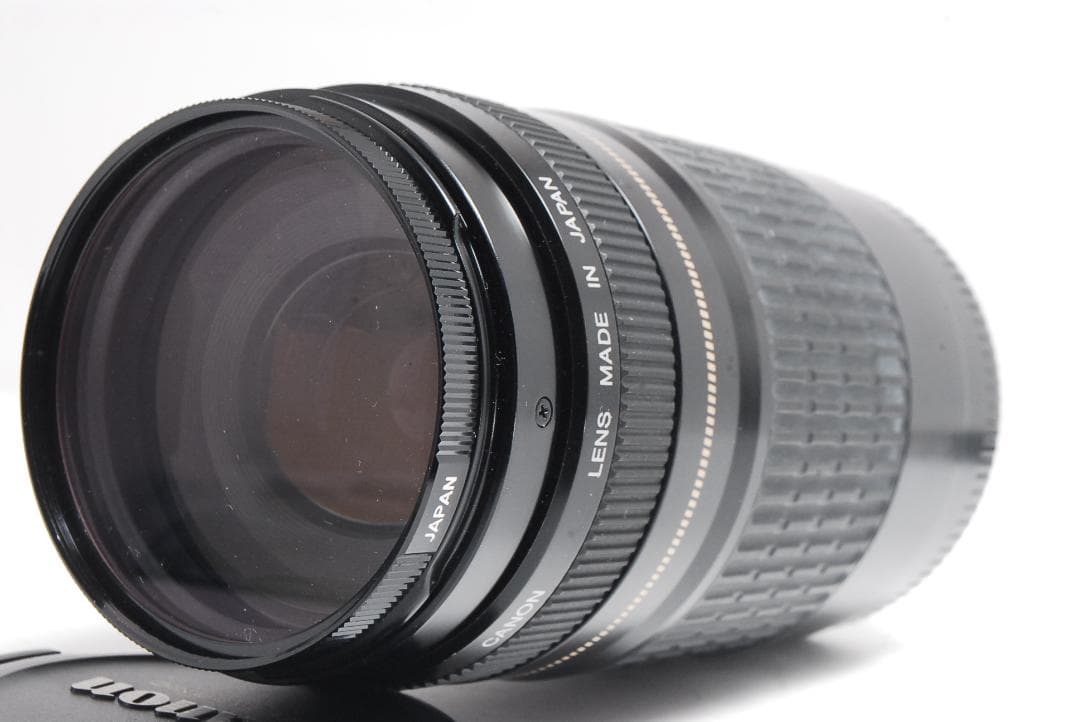 ✨初心者セット✨Canon Kiss X5 望遠75-300mm付 すぐ撮影OK