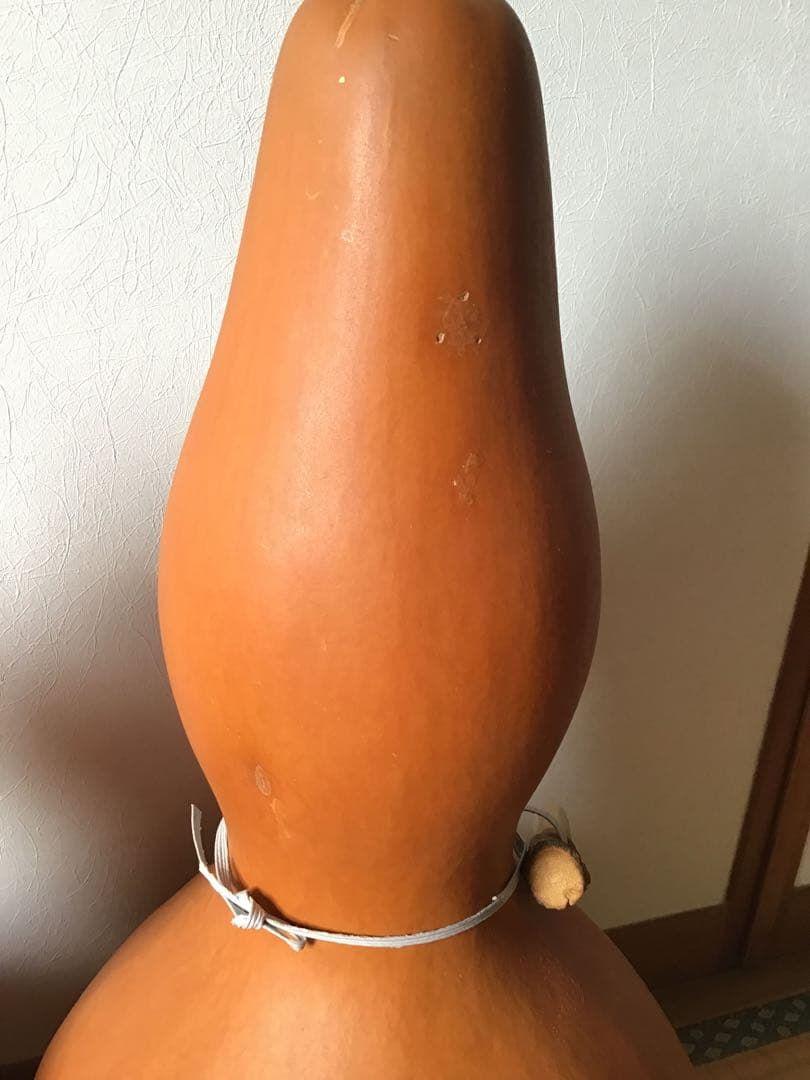 大　ひょうたん　乾燥　素材　２個