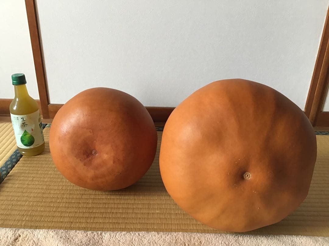 大　ひょうたん　乾燥　素材　２個