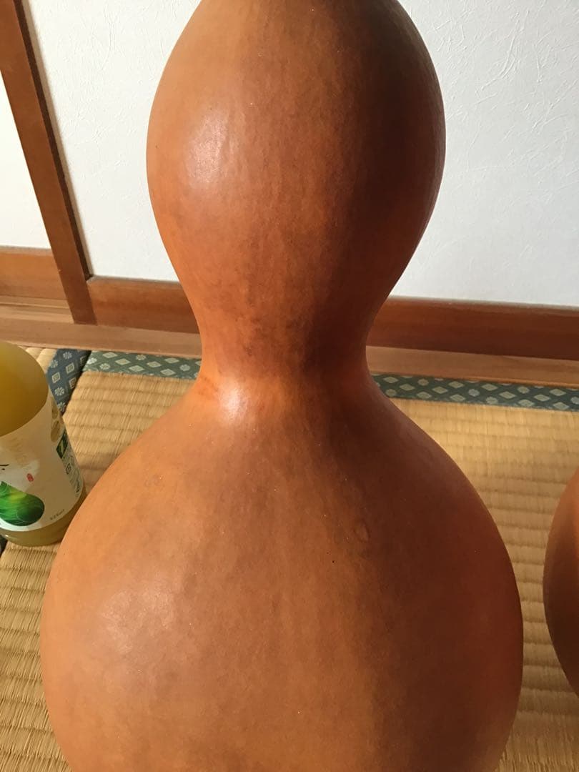 大　ひょうたん　乾燥　素材　２個