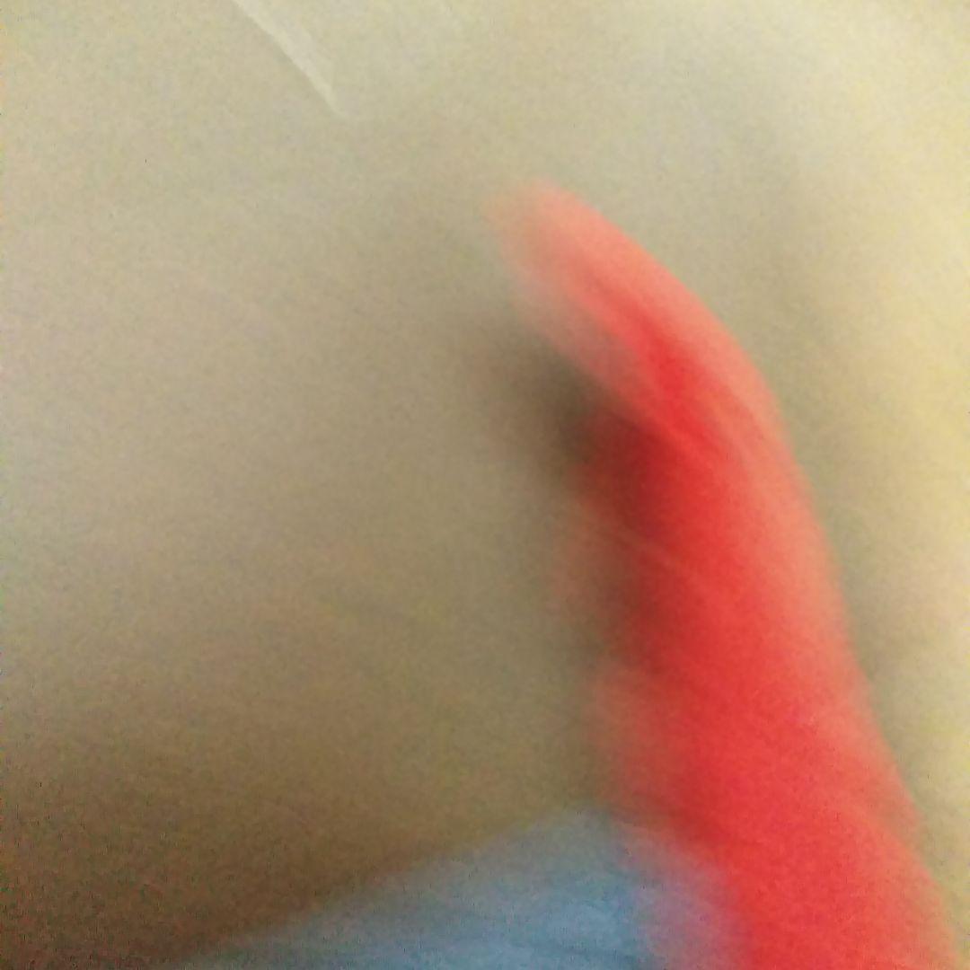 花嫁のれん　花嫁暖簾　綿のれん