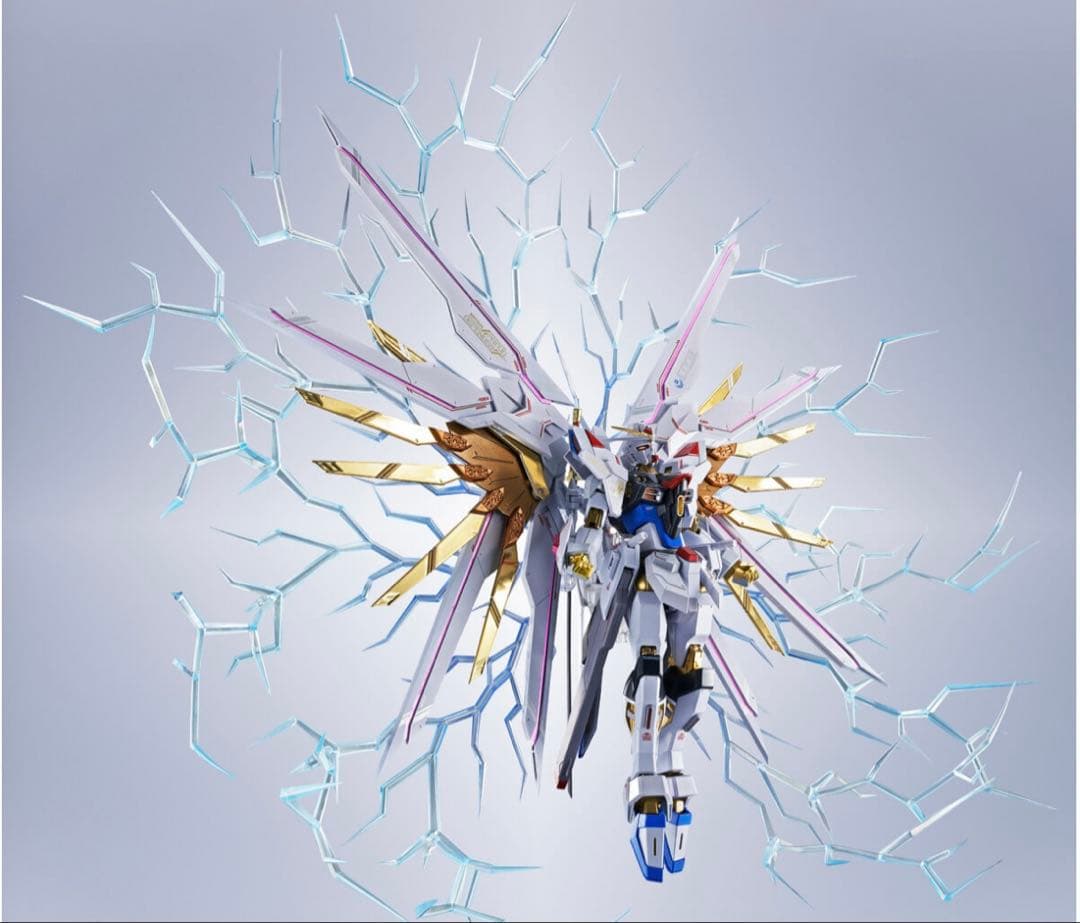 新品 メタルロボット魂 ストライクフリーダムガンダム弐式 プラウドディフェンダー