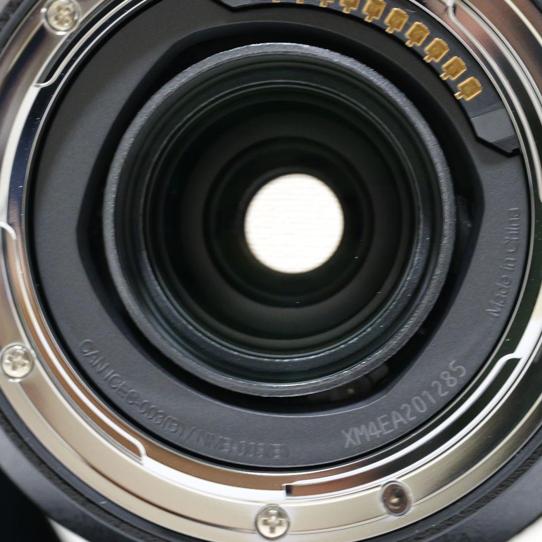 レンズ(ズーム) LUMIX S 28-200mm F4-7.1 MACRO O.I.S.