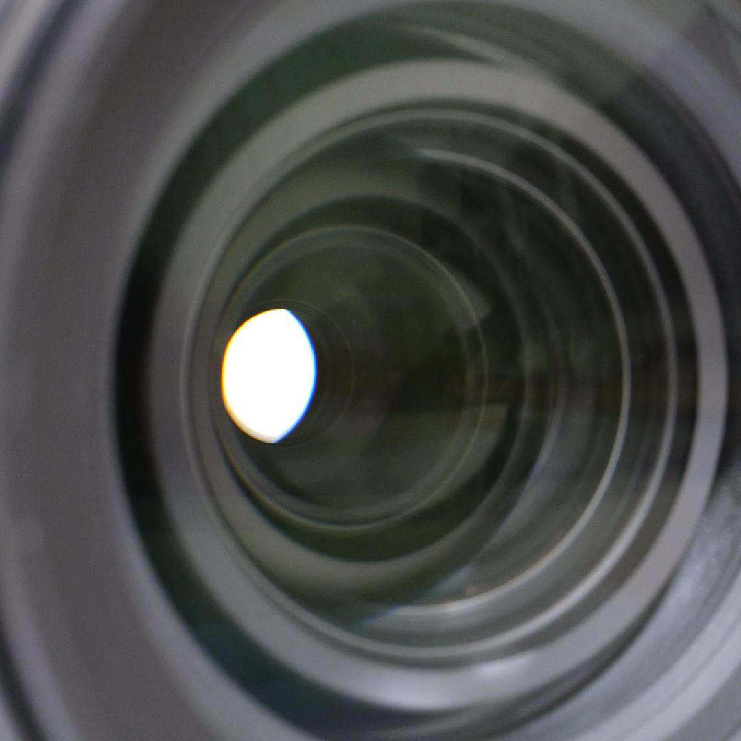 レンズ(ズーム) LUMIX S 28-200mm F4-7.1 MACRO O.I.S.