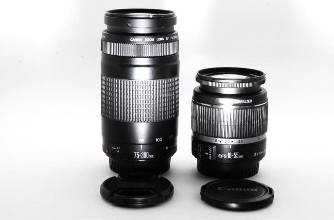 【初心者向け】Canon Kiss X4 ダブルレンズセット