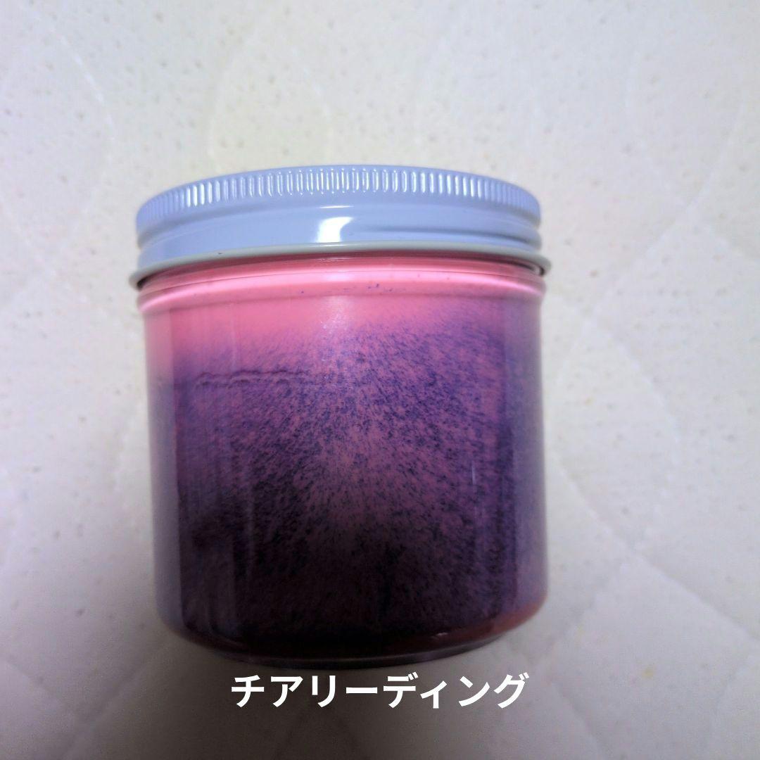 新品未使用　tamrslime様 スライム