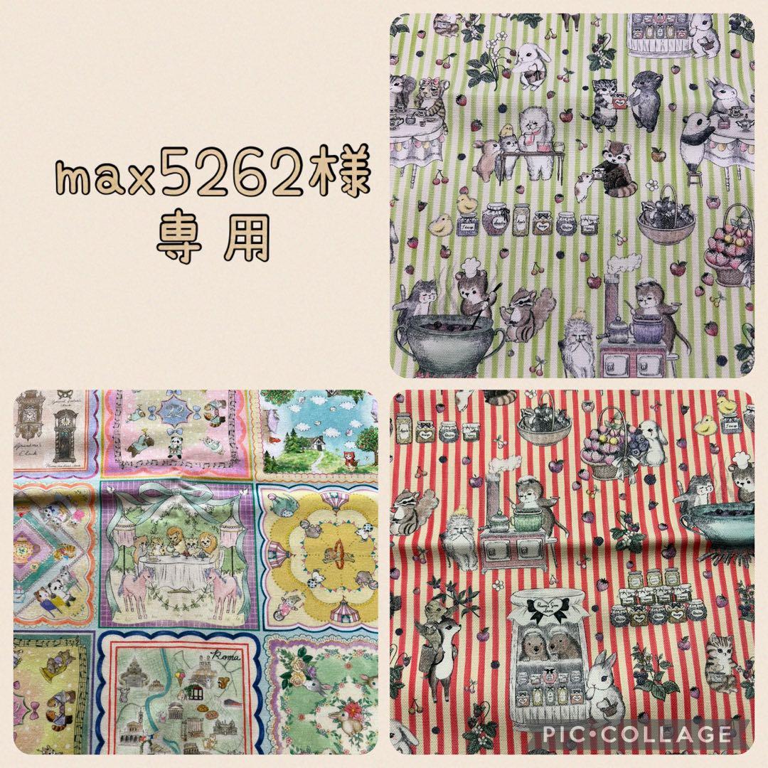 財布・ケース・小物入れ max5262