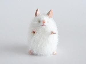 三角ユウリ　マウスのぬいぐるみ<木の役>