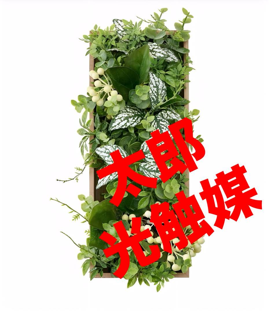 光触媒　人工観葉植物　ウォールグリーン　フェイクグリーン　壁掛けフレームs-1