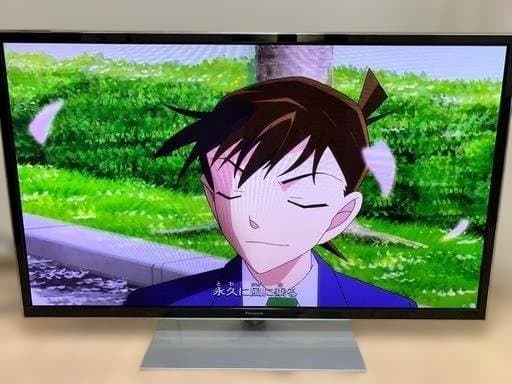 【直接引取限定】パナソニック VIERA TH-P55GT60 プラズマテレビ