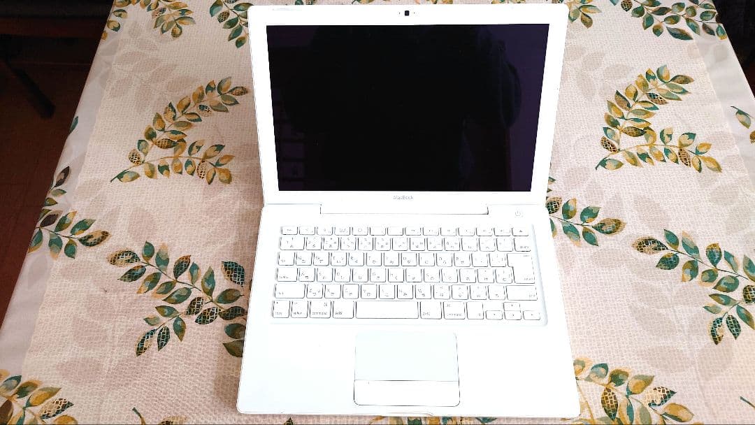 MacBook本体 Apple MacBook 13inch Early 2009