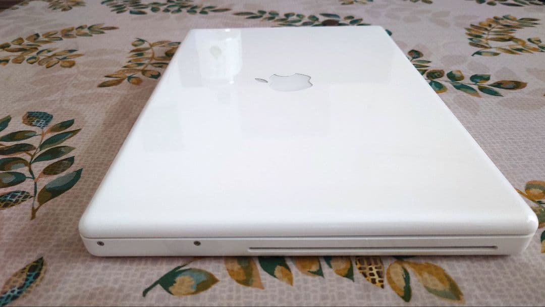 MacBook本体 Apple MacBook 13inch Early 2009