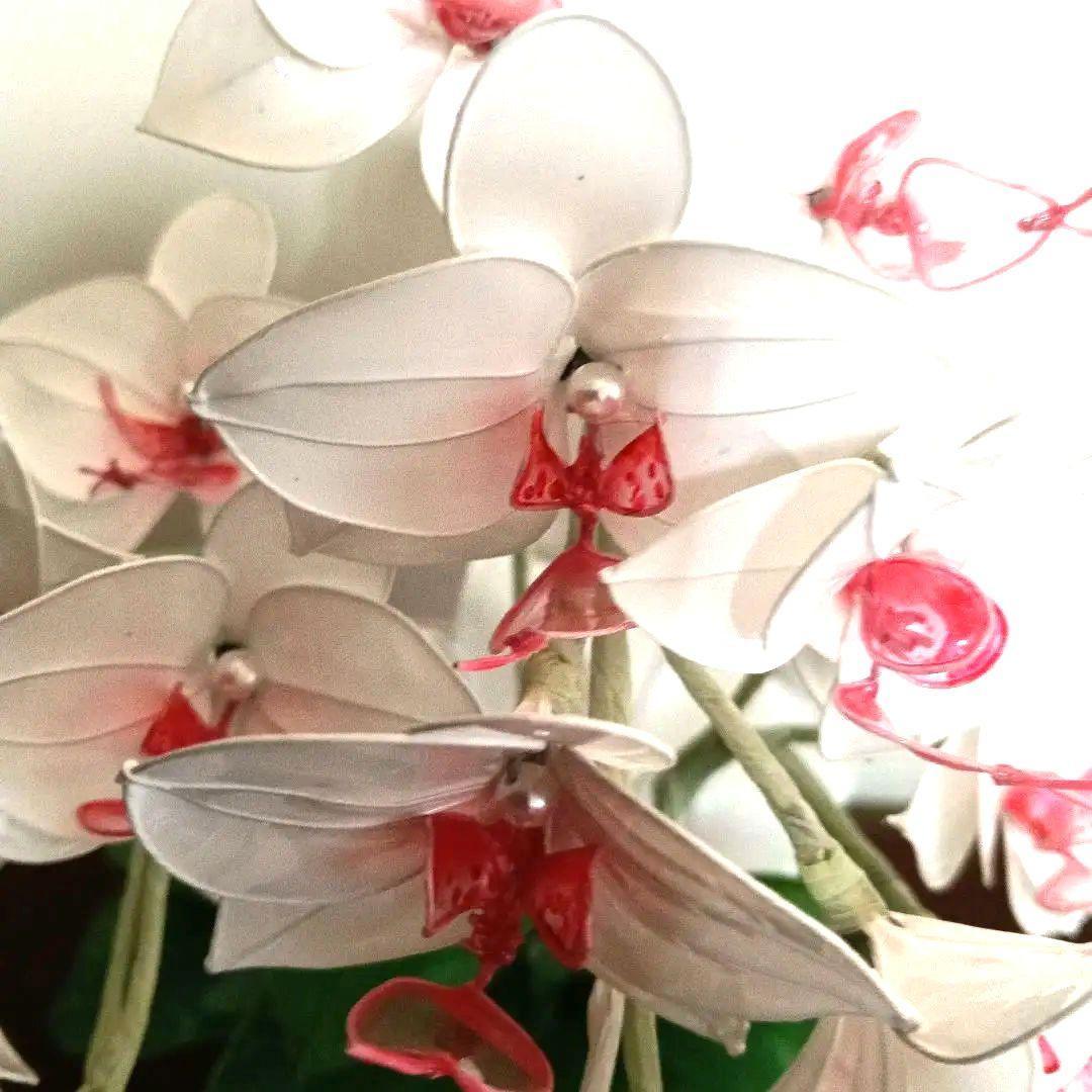 アメリカンフラワー　ディップフラワー　花瓶付　胡蝶蘭　白