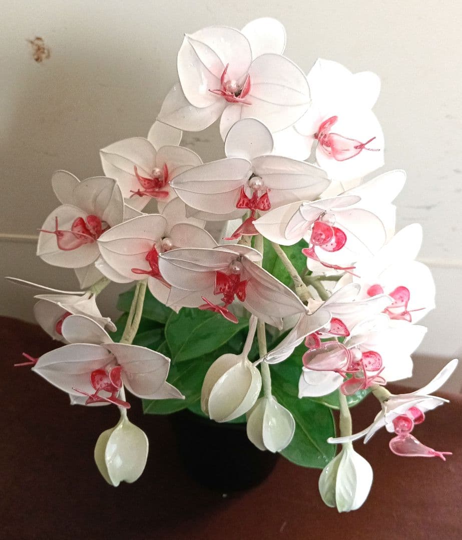アメリカンフラワー　ディップフラワー　花瓶付　胡蝶蘭　白