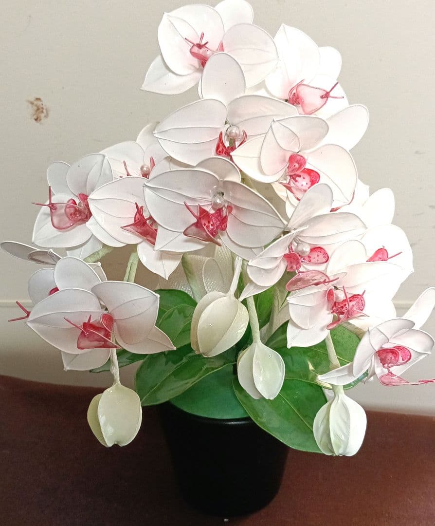 アメリカンフラワー　ディップフラワー　花瓶付　胡蝶蘭　白