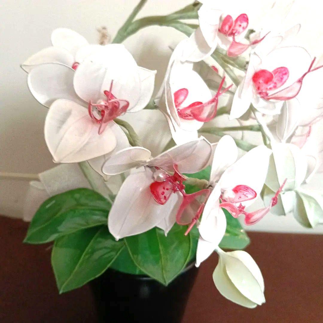 アメリカンフラワー　ディップフラワー　花瓶付　胡蝶蘭　白