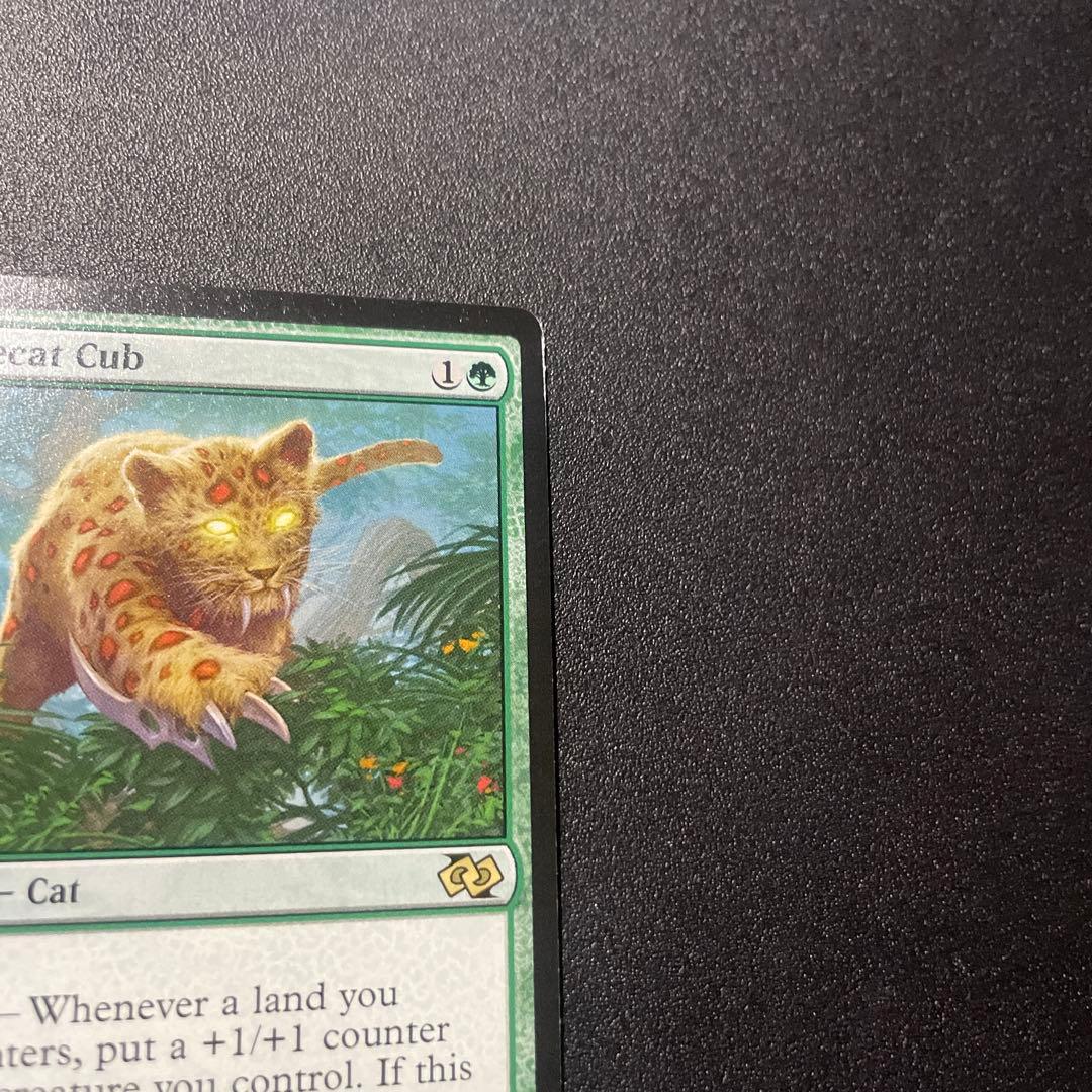 MTG 英語版 大鎌猫の仔 Scythecat Cub ③