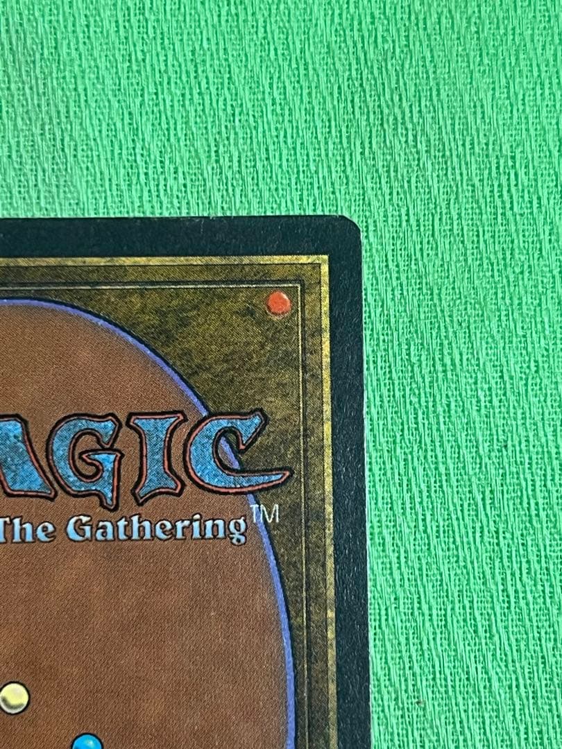 マジック：ザ・ギャザリング MTG Wheel of Fortune