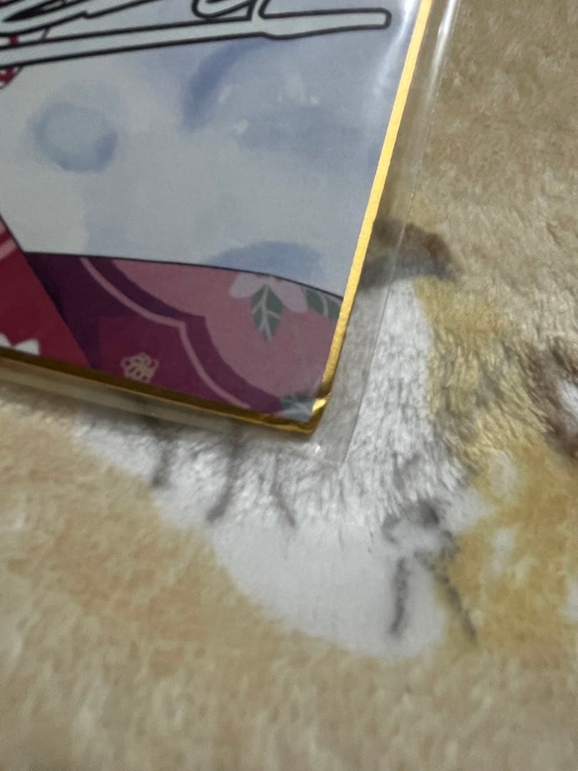 まいてつ 色紙 まとめ売り