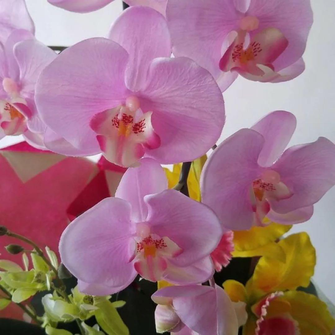 母の日に♪胡蝶蘭カトレアMIXB10(造花）【高60×幅30】光触媒コーティング