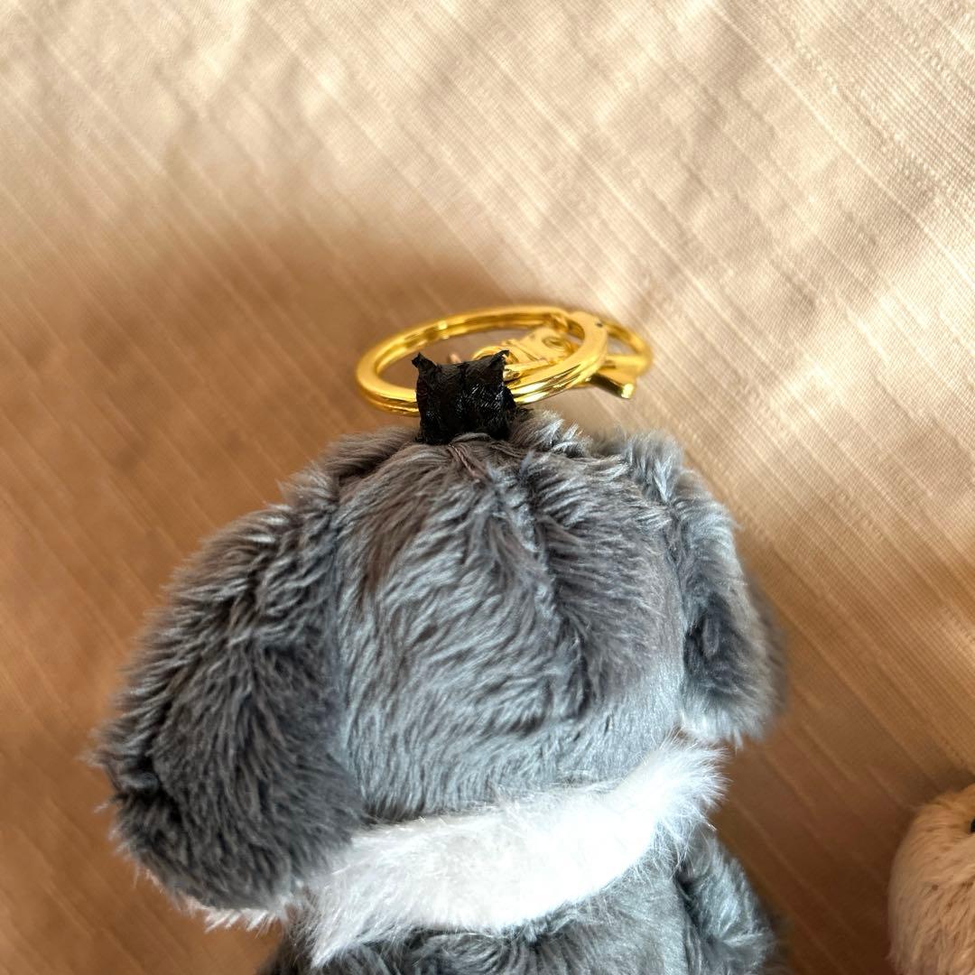 the GazettE ベア　葵　AOI