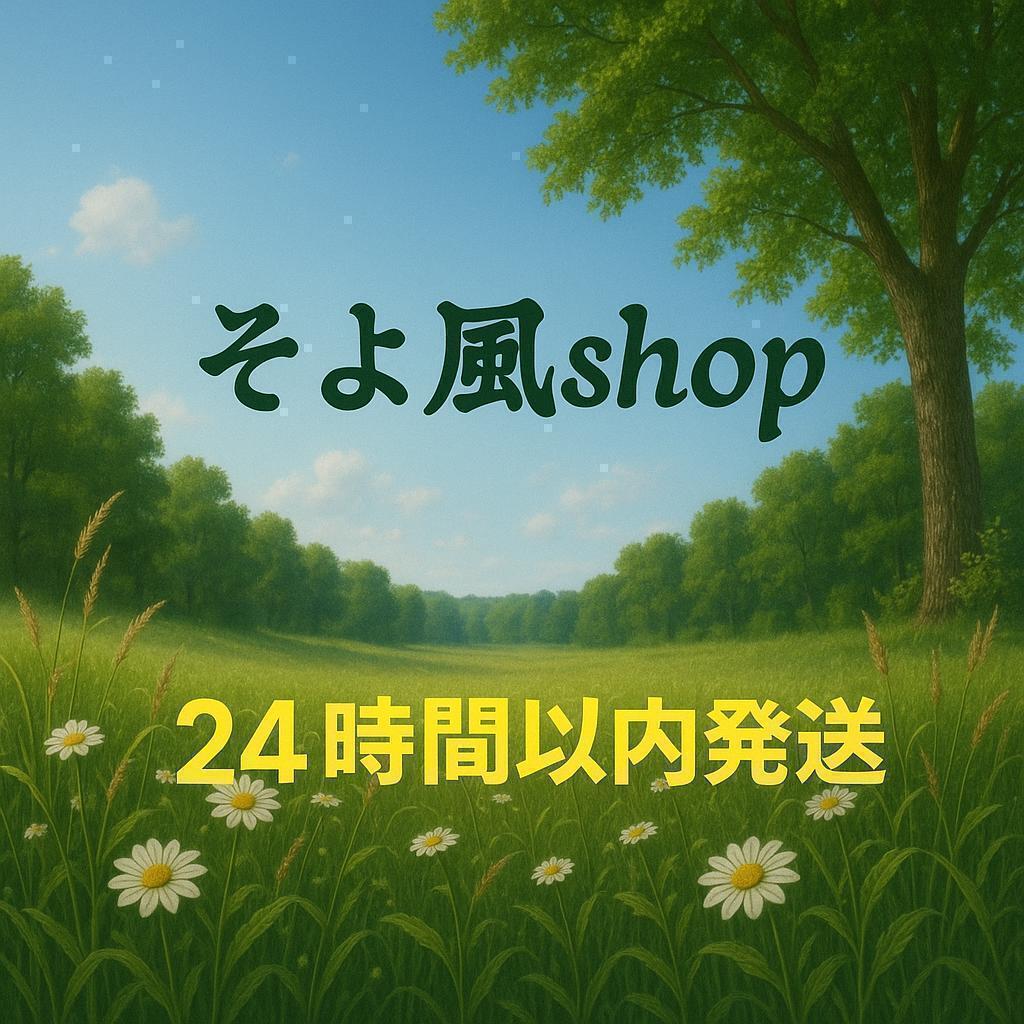 【未使用・美品】吉野家 丼ぶり 並盛サイズ