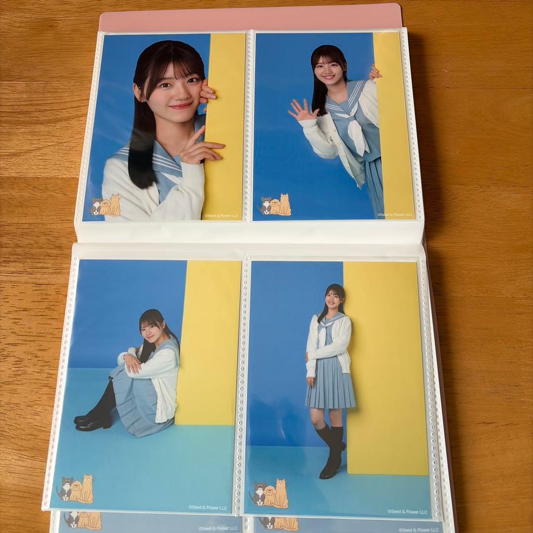 日向坂46 佐々木美玲　生写真　66枚まとめ売り