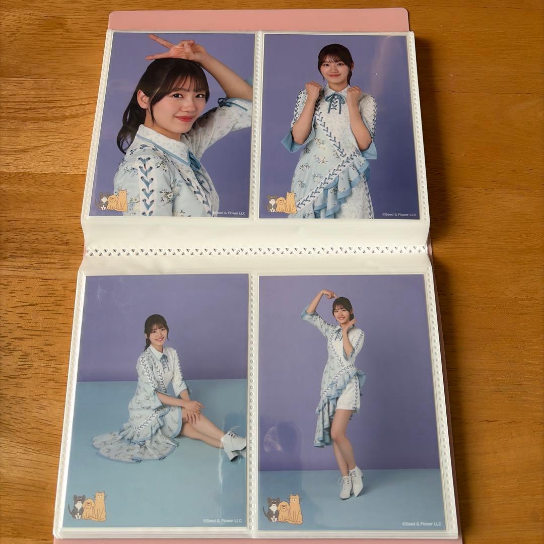日向坂46 佐々木美玲　生写真　66枚まとめ売り