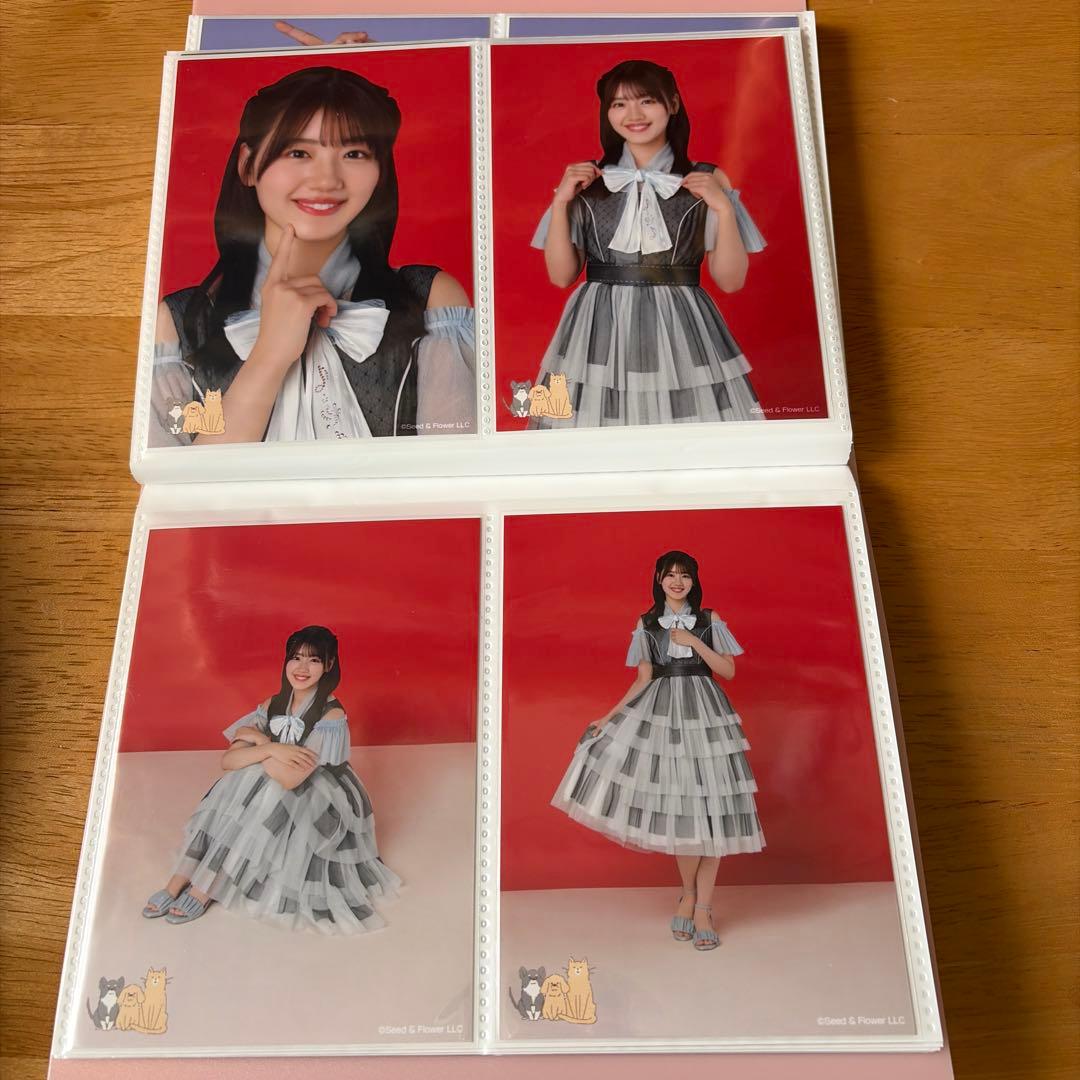 日向坂46 佐々木美玲　生写真　66枚まとめ売り